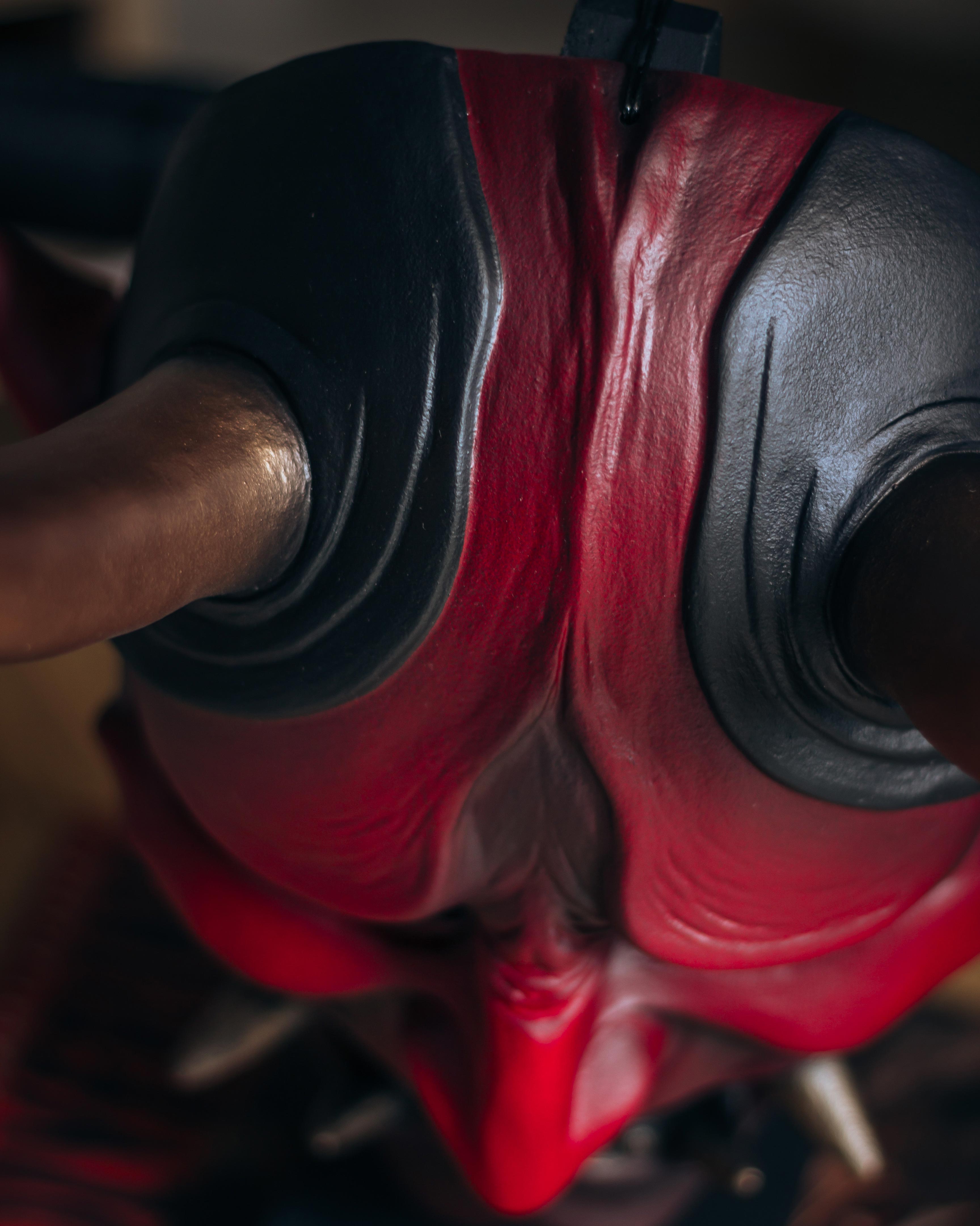 Hannya Chunari - Roja