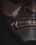 Darkness Shogun